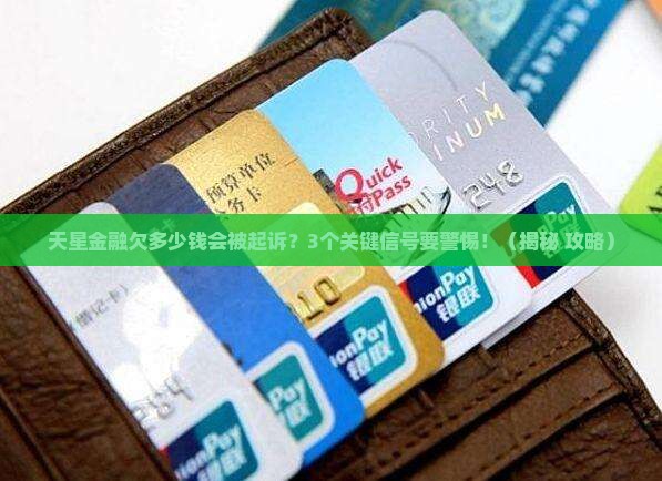 天星金融欠多少会起诉怎么办