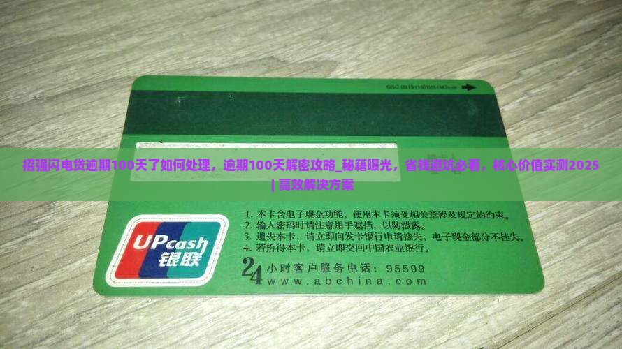 招强闪电贷逾期100天了如何处理