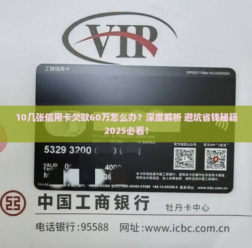 10几张信用卡欠款60万怎么办理