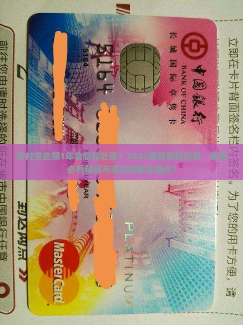 支付宝逾期1年会怎样处理