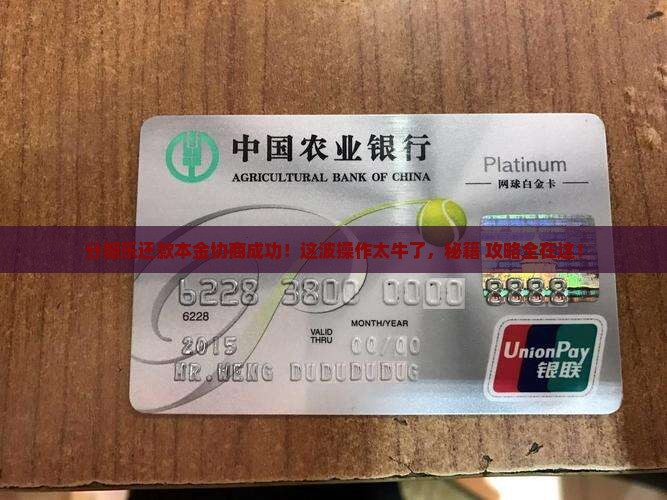 分期乐协商还款本金的成功案例分享