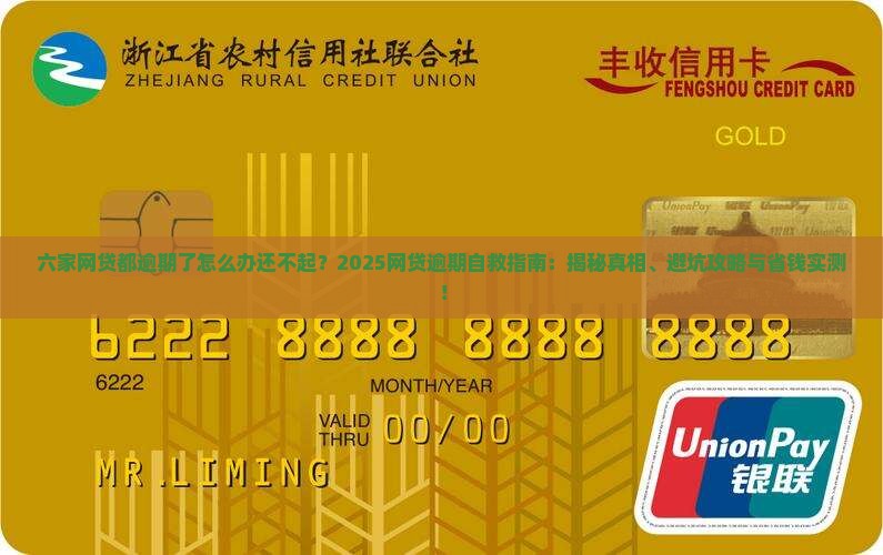 六家网贷都逾期了怎么办还不起