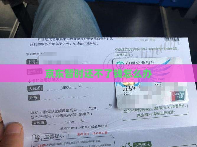 京东暂时还不了钱怎么办