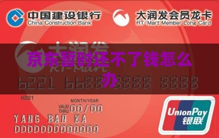 京东暂时还不了钱怎么办