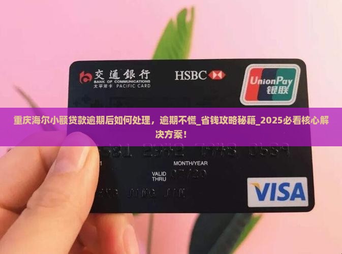 重庆海尔小额贷款逾期后如何处理