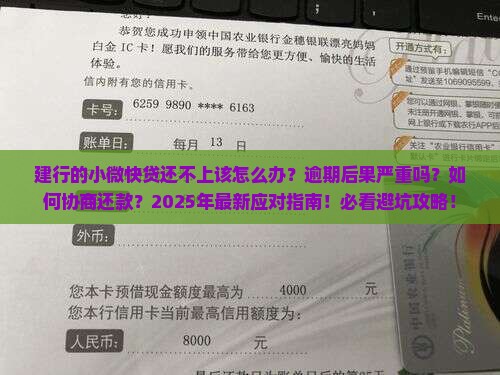 建行的小微快贷还不上该怎么办
