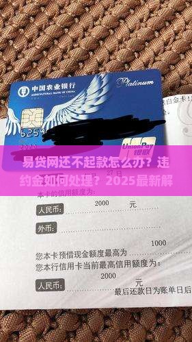 易贷网还不起款怎么办违约金如何处理