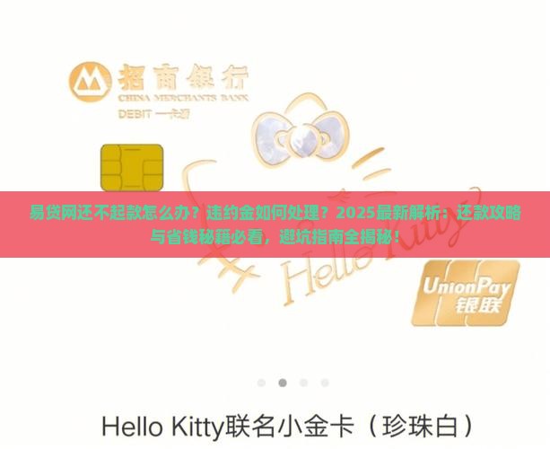 易贷网还不起款怎么办违约金如何处理