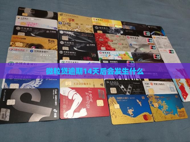 微粒贷逾期14天后会发生什么