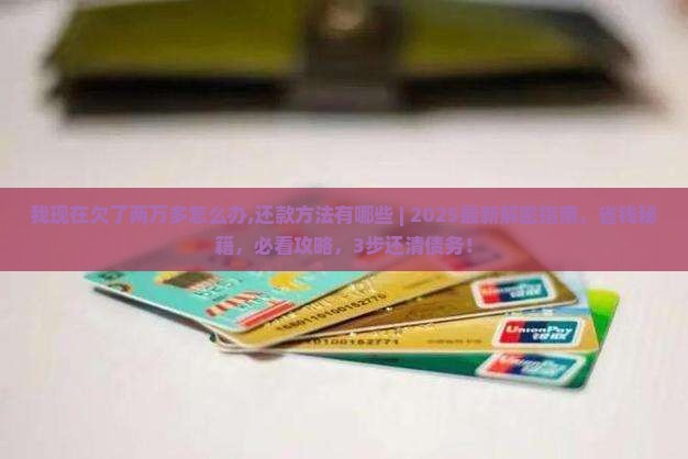 我现在欠了两万多怎么办还款方法有哪些