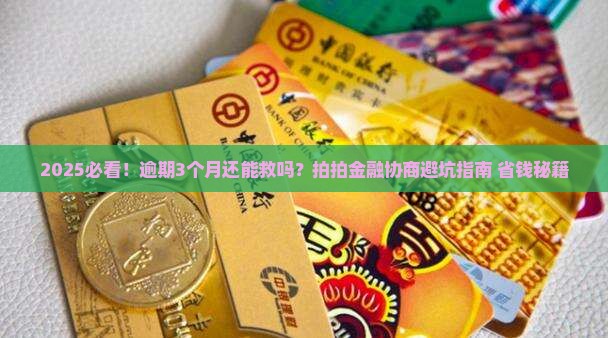 拍拍金融逾期协商解决办法有哪些