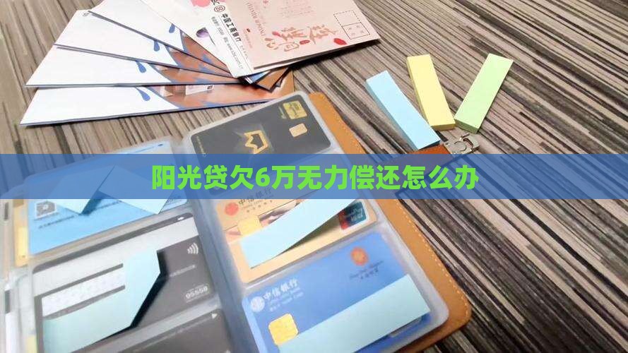 阳光贷欠6万无力偿还怎么办