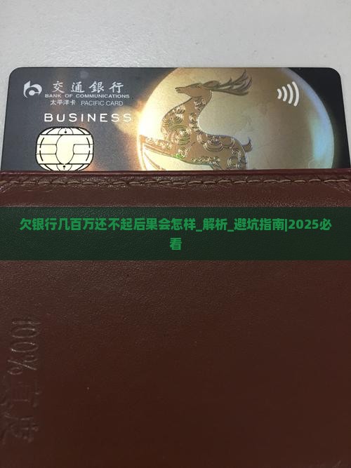 欠银行几百万还不起后果会怎样