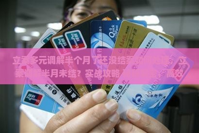 立案多元调解半个月了还没结案如何处理