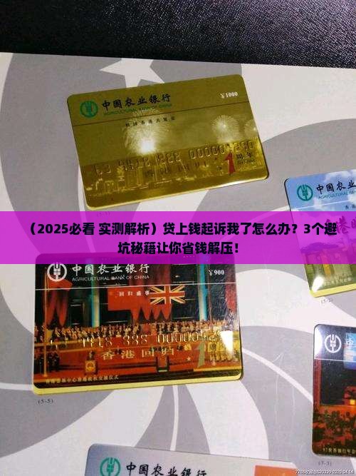 贷上钱起诉了我
