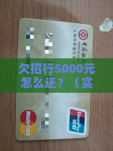 欠招行5000元怎么办理还款手续