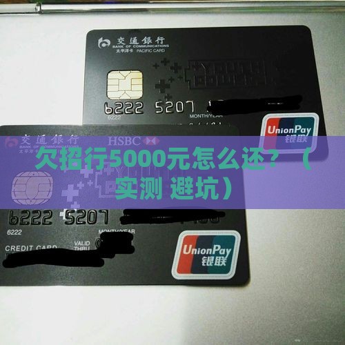 欠招行5000元怎么办理还款手续