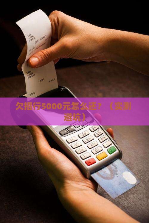 欠招行5000元怎么办理还款手续