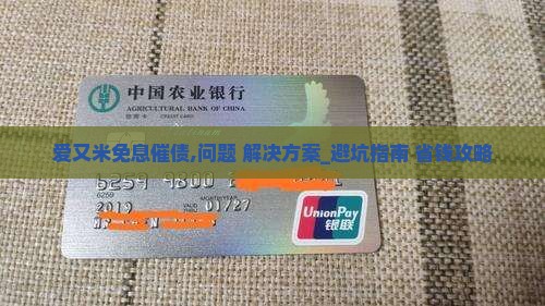 爱又米免息催债怎么办