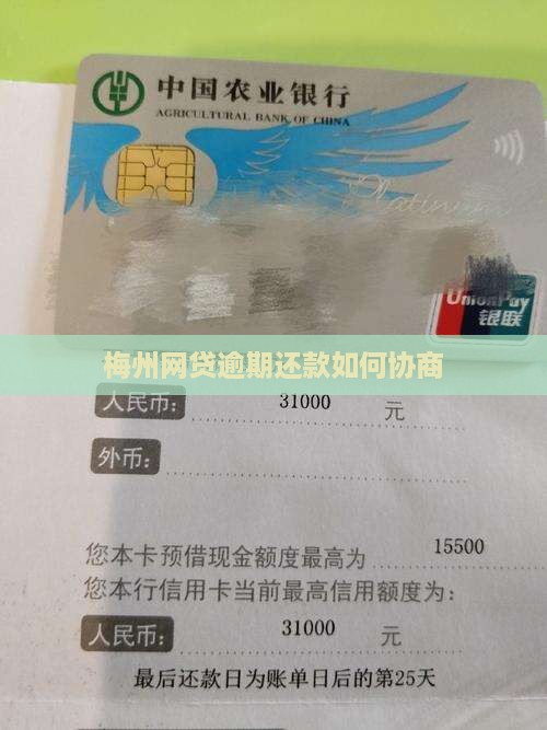 梅州网贷逾期还款如何协商