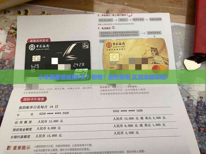小米随星借逾期5天怎么办