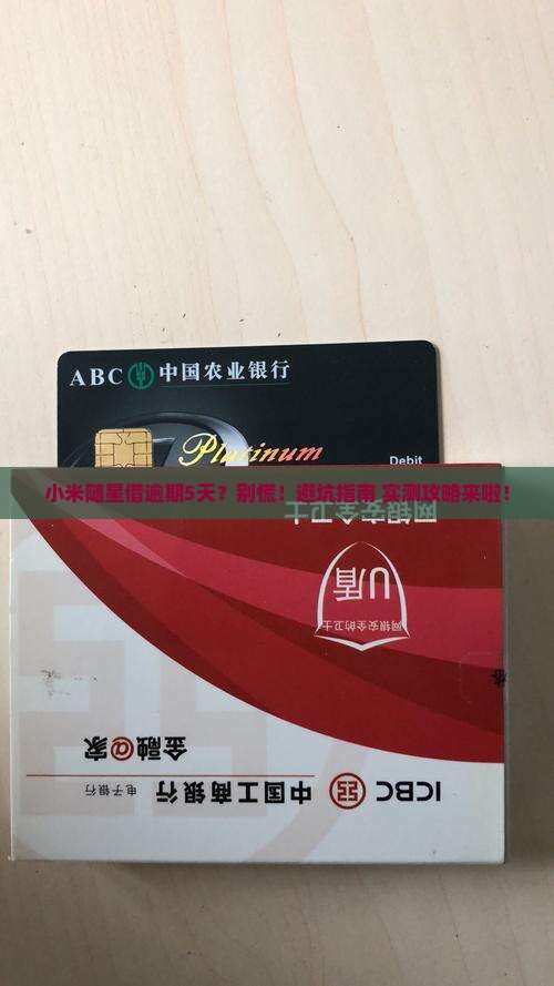 小米随星借逾期5天怎么办