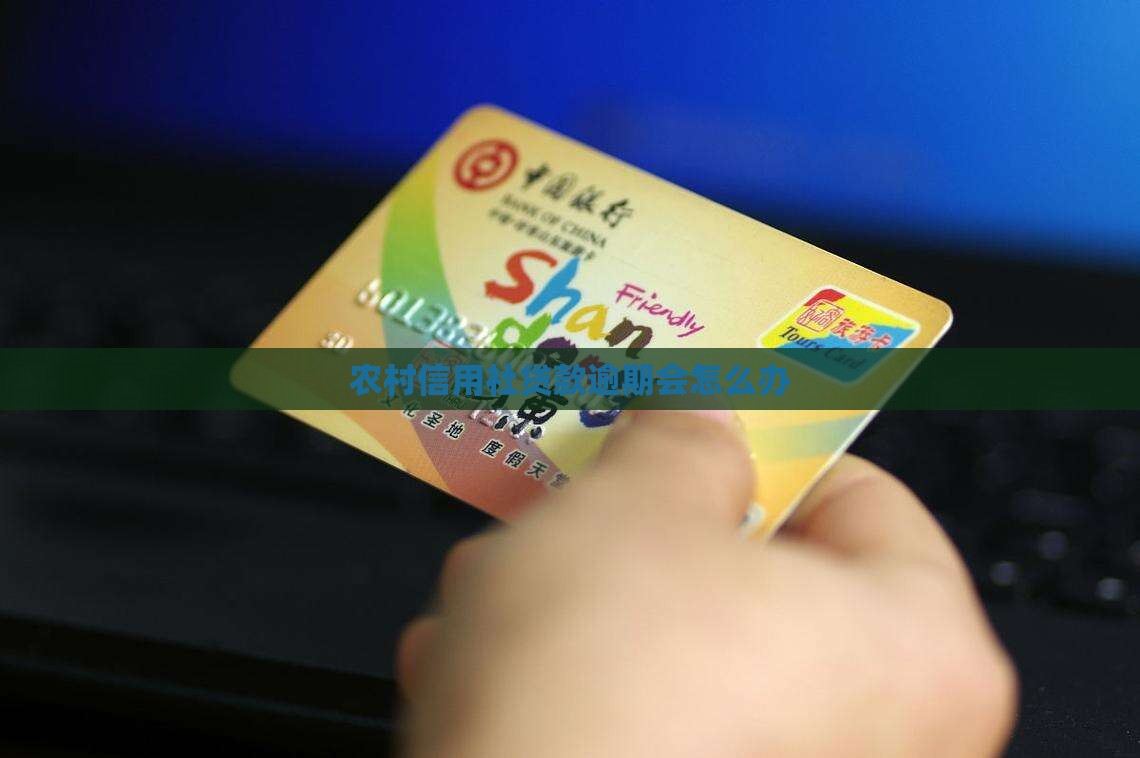 农村信用社贷款逾期会怎么办