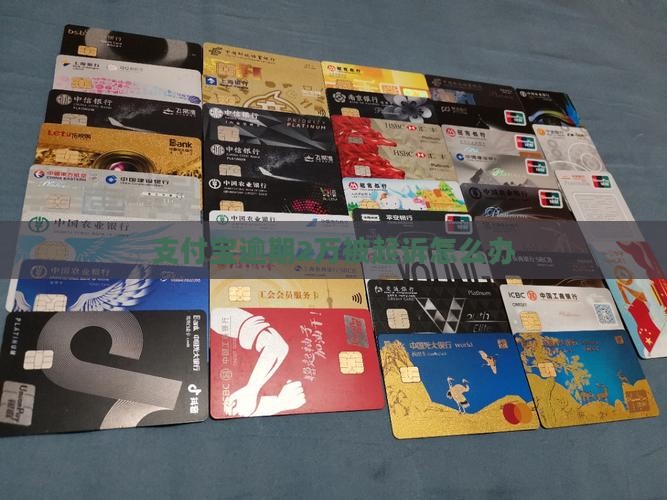 支付宝逾期2万被起诉怎么办