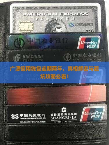 广源信用钱包逾期两年
