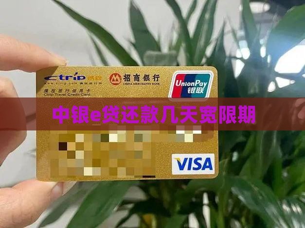 中银e贷还款几天宽限期