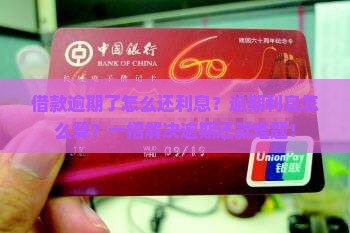 借款逾期了怎么还利息