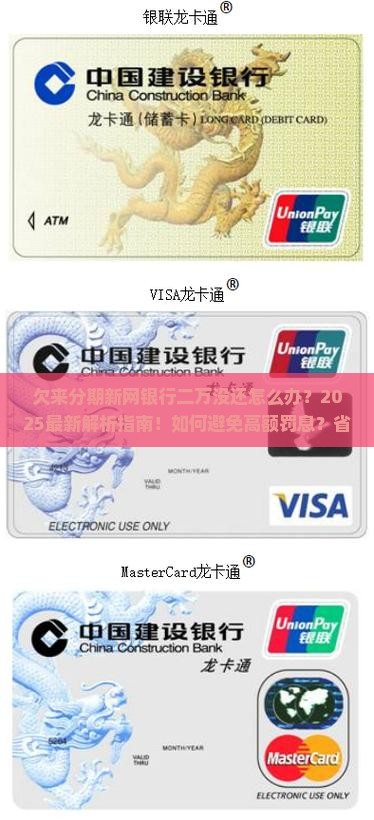 欠来分期新网银行二万没还怎么办