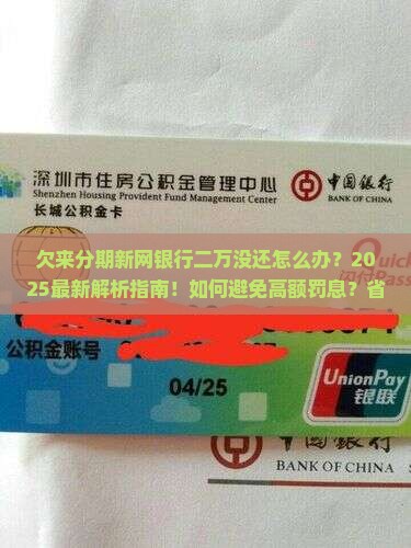 欠来分期新网银行二万没还怎么办