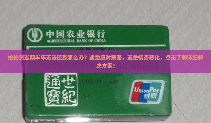 拍拍贷逾期半年无法还款怎么办