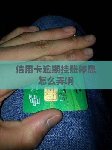 信用卡逾期挂账停息怎么弄啊