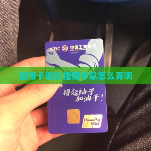 信用卡逾期挂账停息怎么弄啊