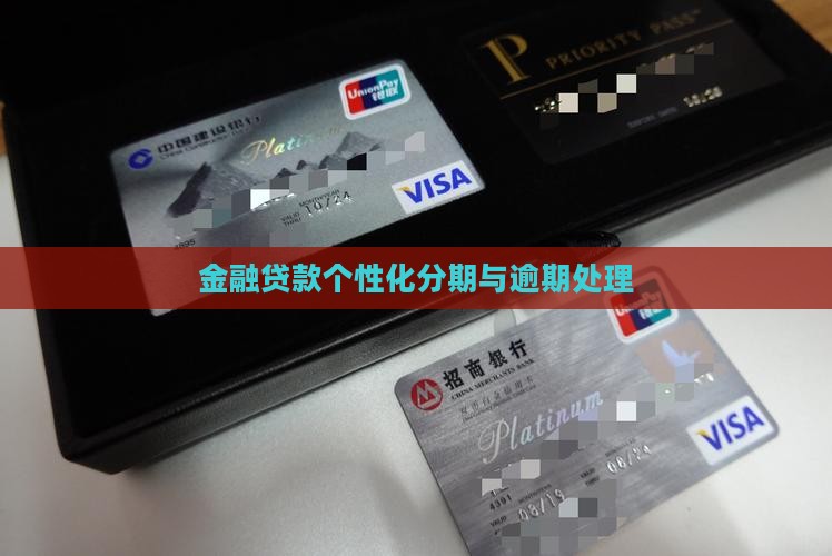 金融贷款可以个性化分期吗