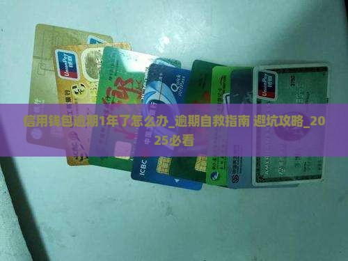 信用钱包逾期1年了怎么办