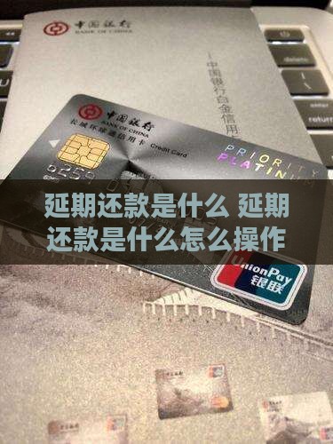白条延期还款是什么