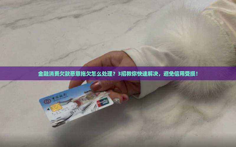 金融消费欠款恶意拖欠怎么处理