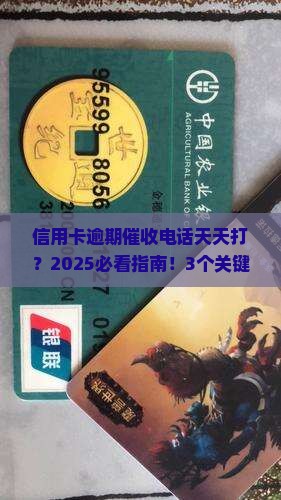 信用卡逾期催收合法次数有哪些规定