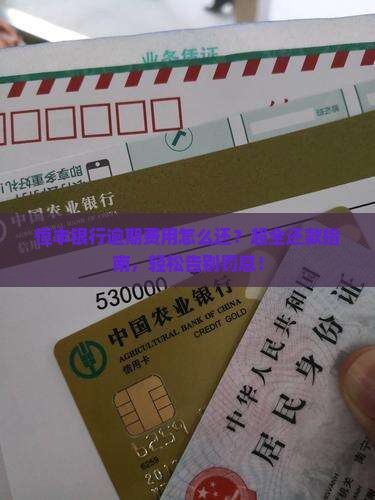 恒丰银行逾期费用怎么还