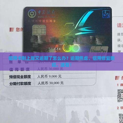 信用卡刚上岸又逾期了怎么办