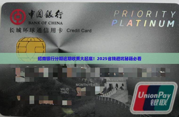 招商银行分期逾期收费情况说明