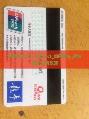 网贷平台欠11万怎么办