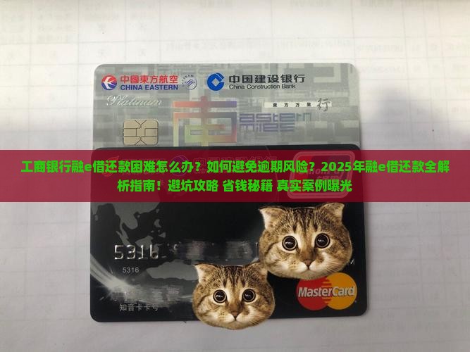 工商银行融e借还款困难及相关问题
