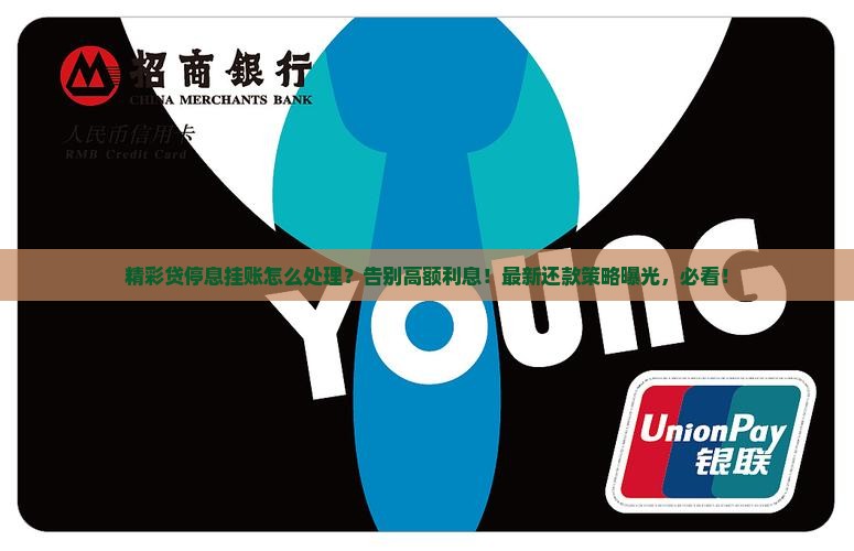 精彩贷停息挂账怎么处理