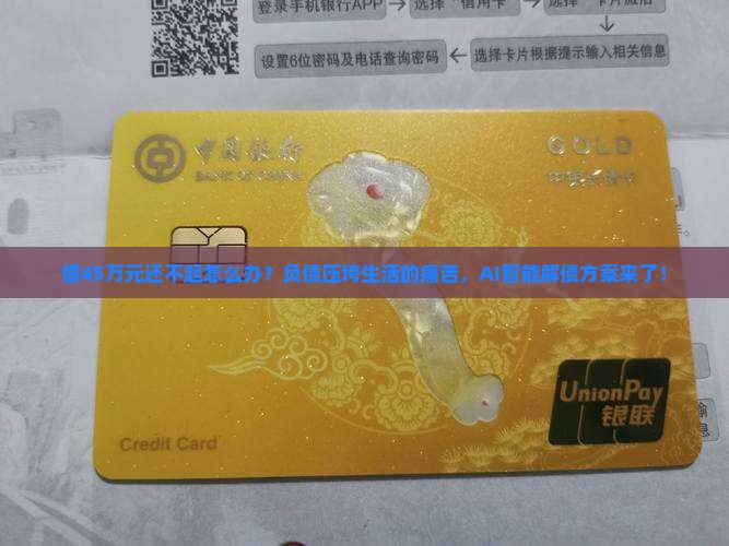 借45万元还不起应该怎么处理