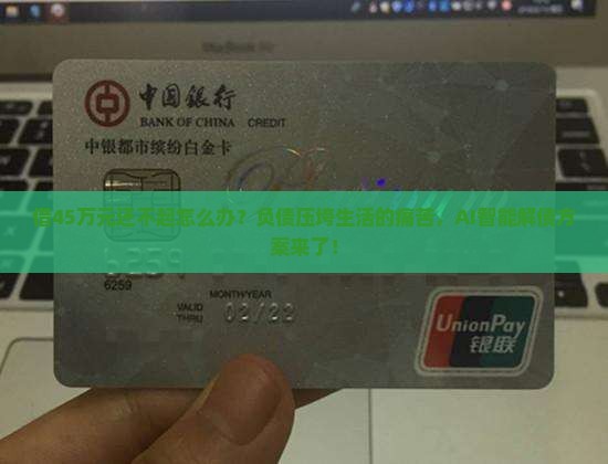 借45万元还不起应该怎么处理