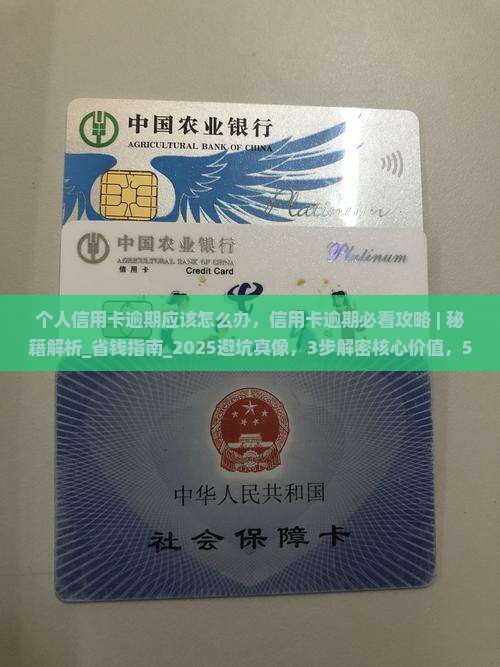 个人信用卡逾期应该怎么办 个人信用卡逾期应该怎么办